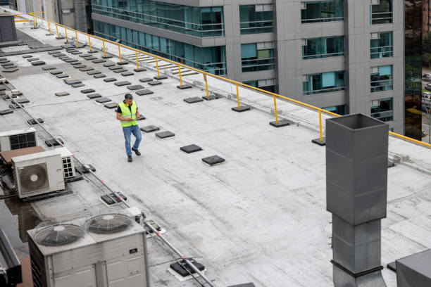 Best Roof Insulation Installation  in Caledonia, MN