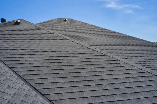 Siding in Caledonia, MN