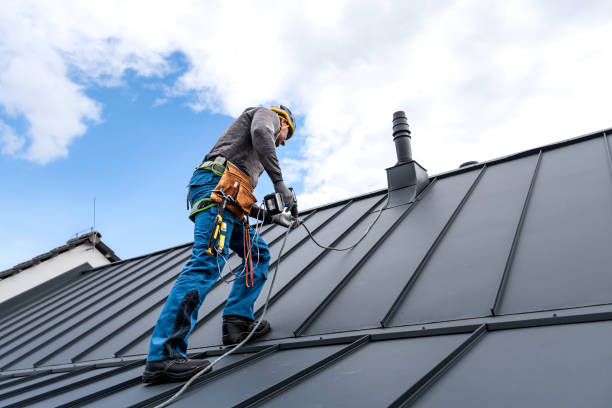 Best Roof Installation  in Caledonia, MN